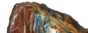 Versteinertes Holz